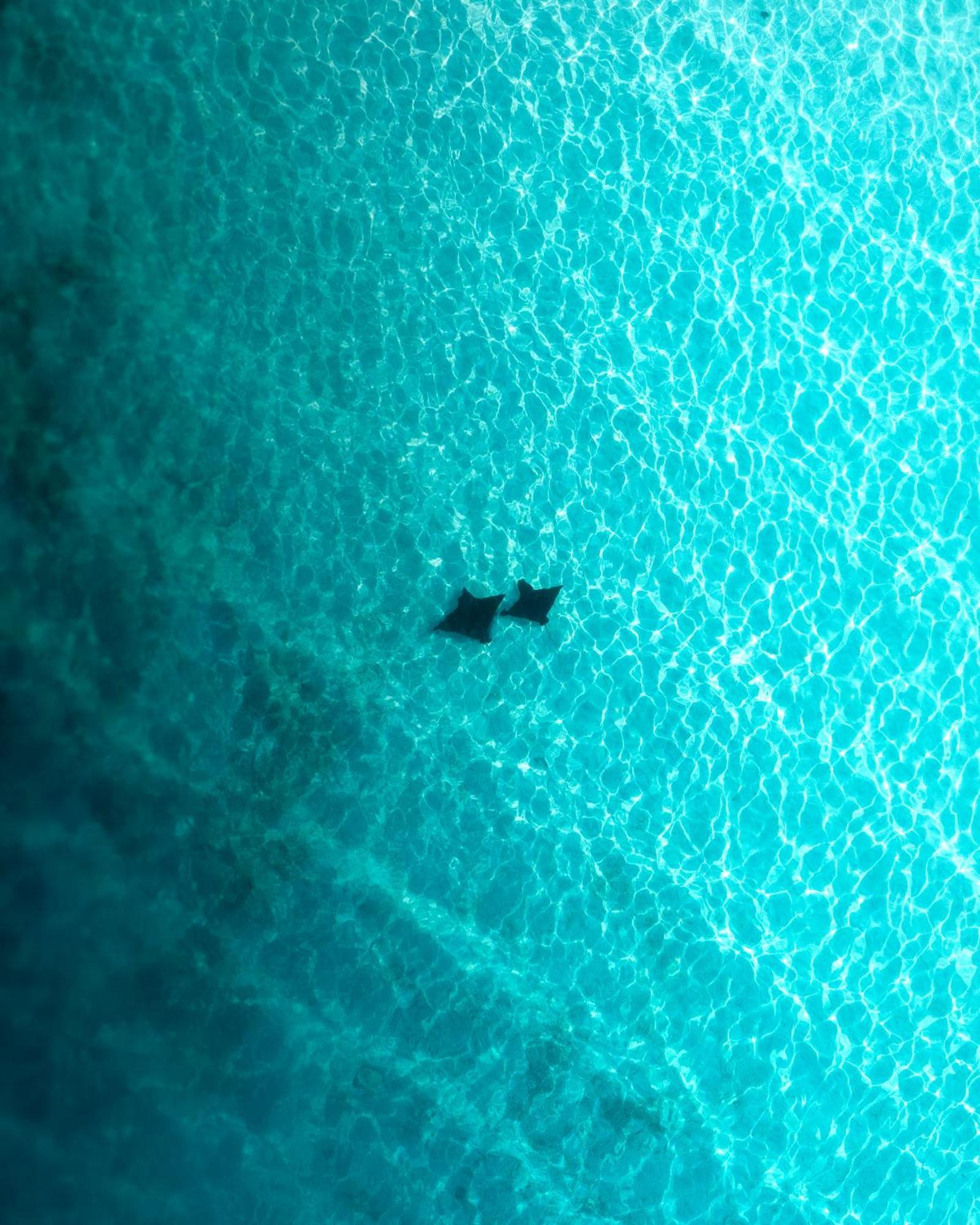 Araamu Hotels Maldives At Dhiffushi Exteriér fotografie